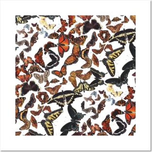 Butterflies of Maine Pattern Posters and Art